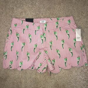 NEW WITH TAGS Crown & Ivy parrot shorts